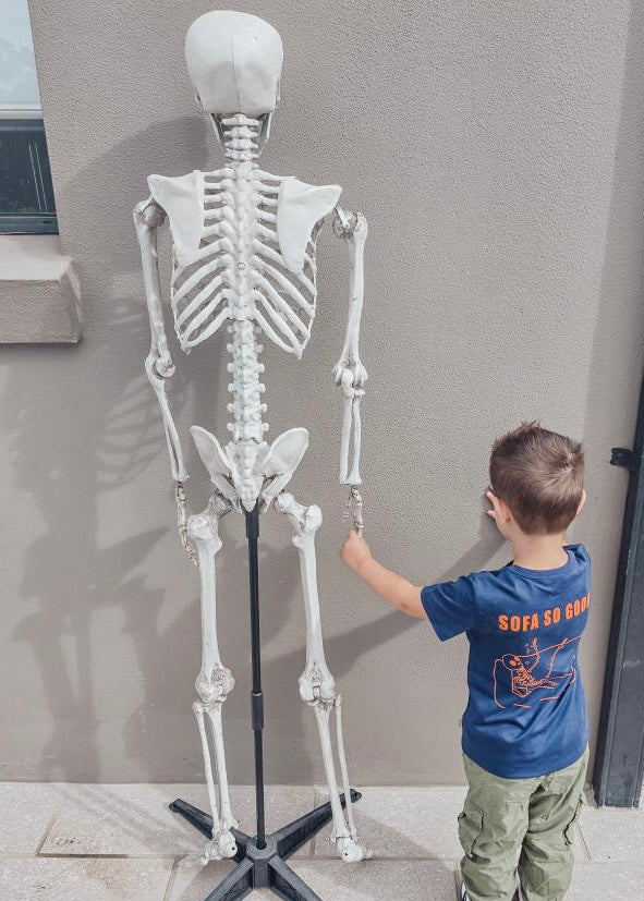 iMiN Kids Fun Skull Print Tee