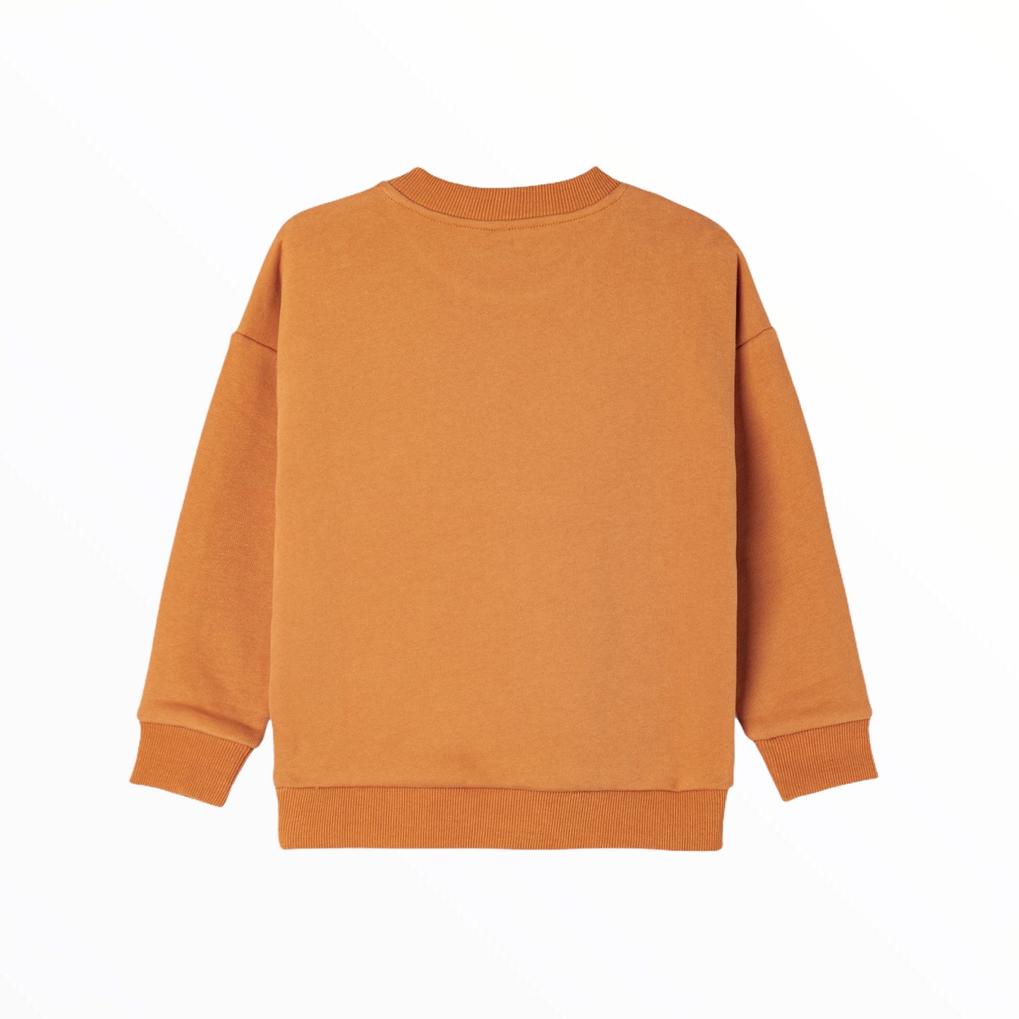 Rainbow Pixel Diving Sloth Ginger Yellow Sweatshirt