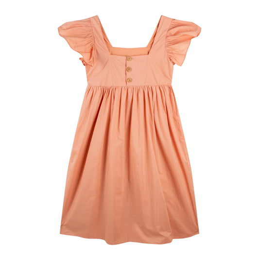 iMiN Kids Women's Ruffles Sleeves Floral Embroidered Mini Me Matching Dress Rust