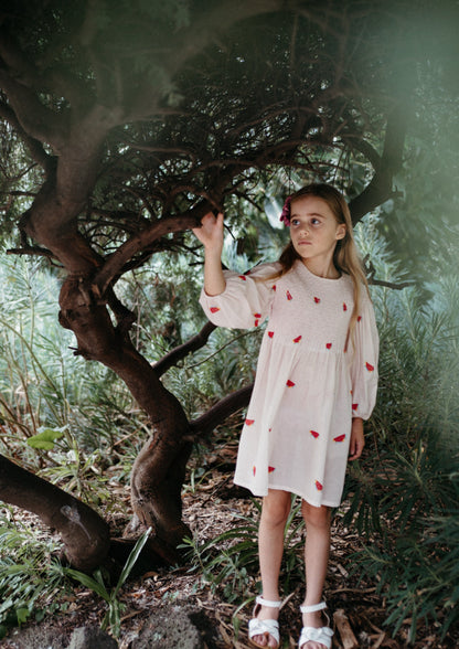 iMiN Kids Girls Organic Cotton Balloon Sleeves Smocking Watermelon Dress Pink Lemonade