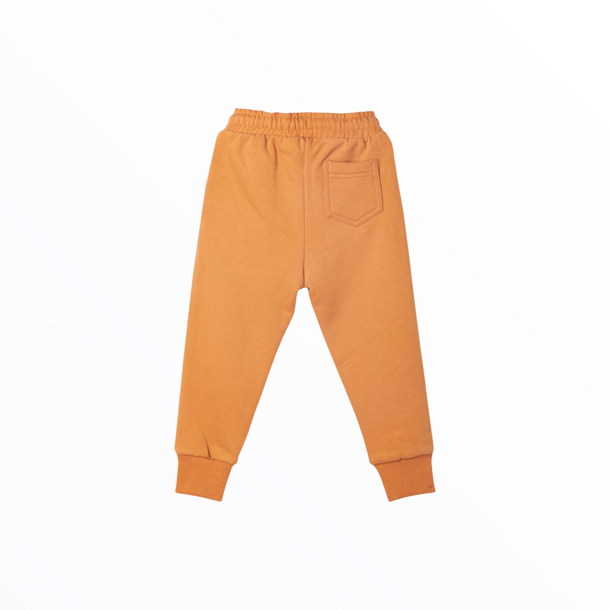 Rainbow Pixel Diving Sloth Ginger Yellow Track Pants
